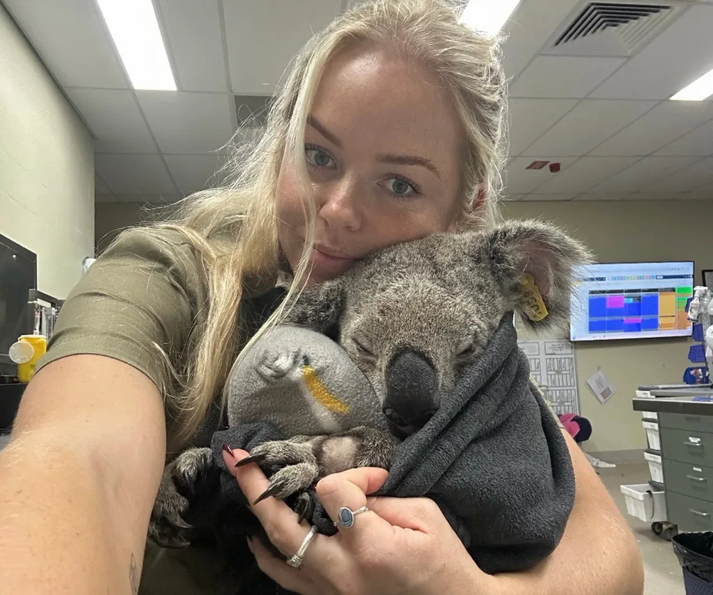 Lily holds an injured koala