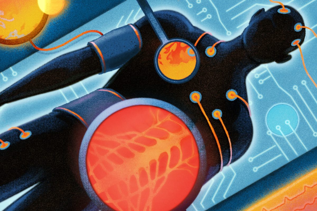 Olive Oil Under the Scientific Spotlight