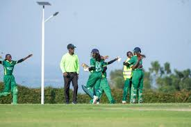 Cricket: Nigeria lose by 7 wickets to Brazil at Kwibuka tournament
