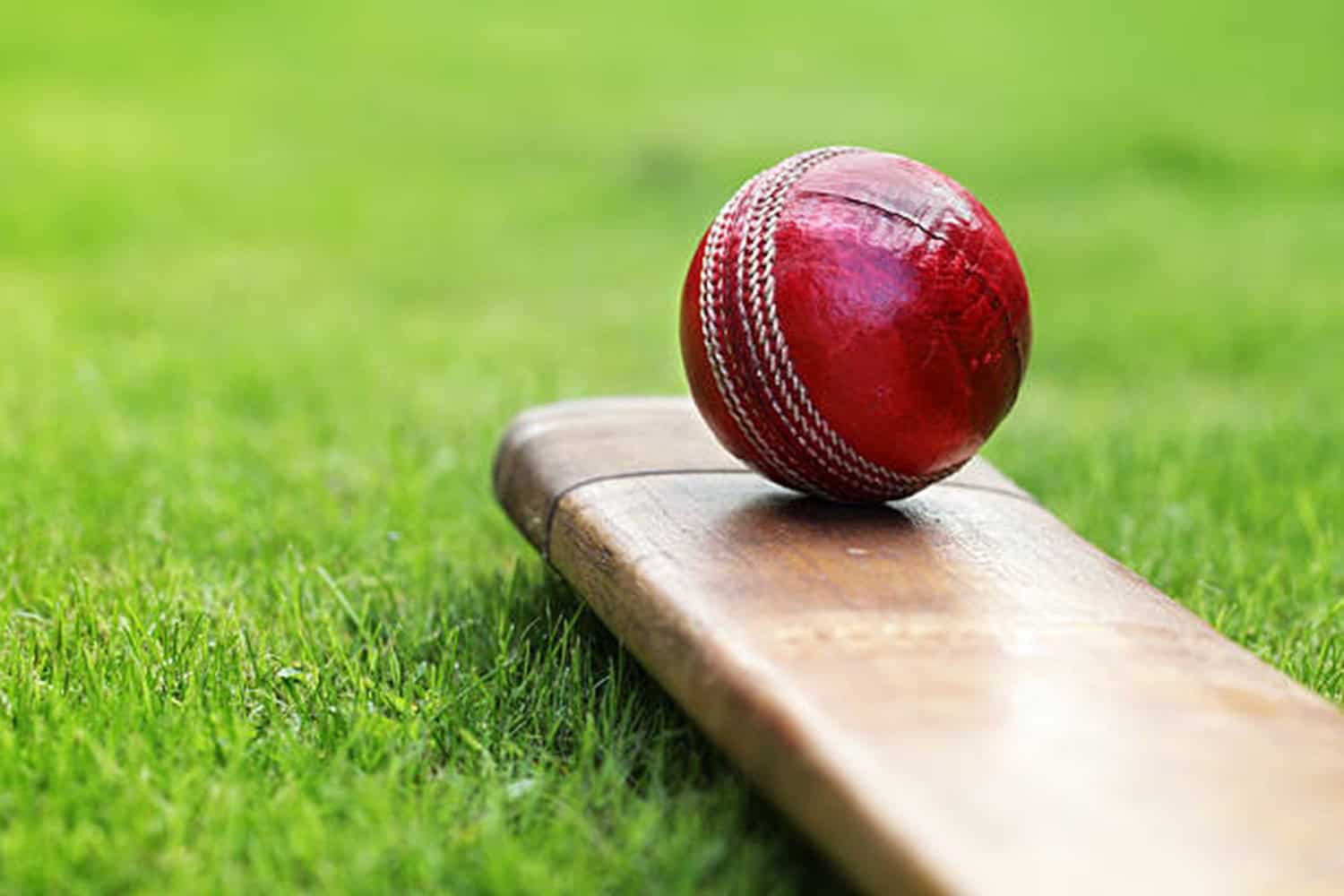 Celebrating local female cricketers | The Witness