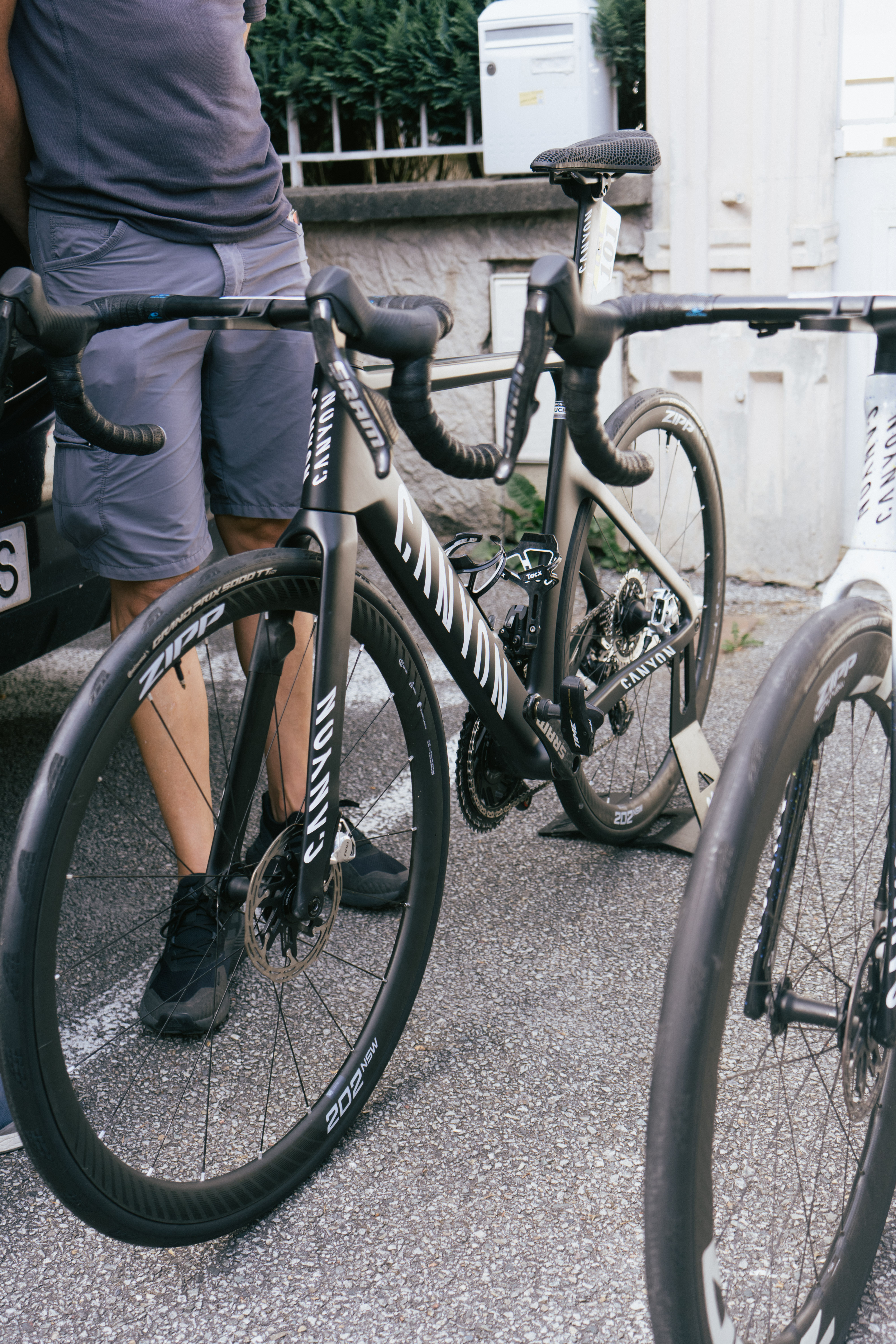 Dauphine