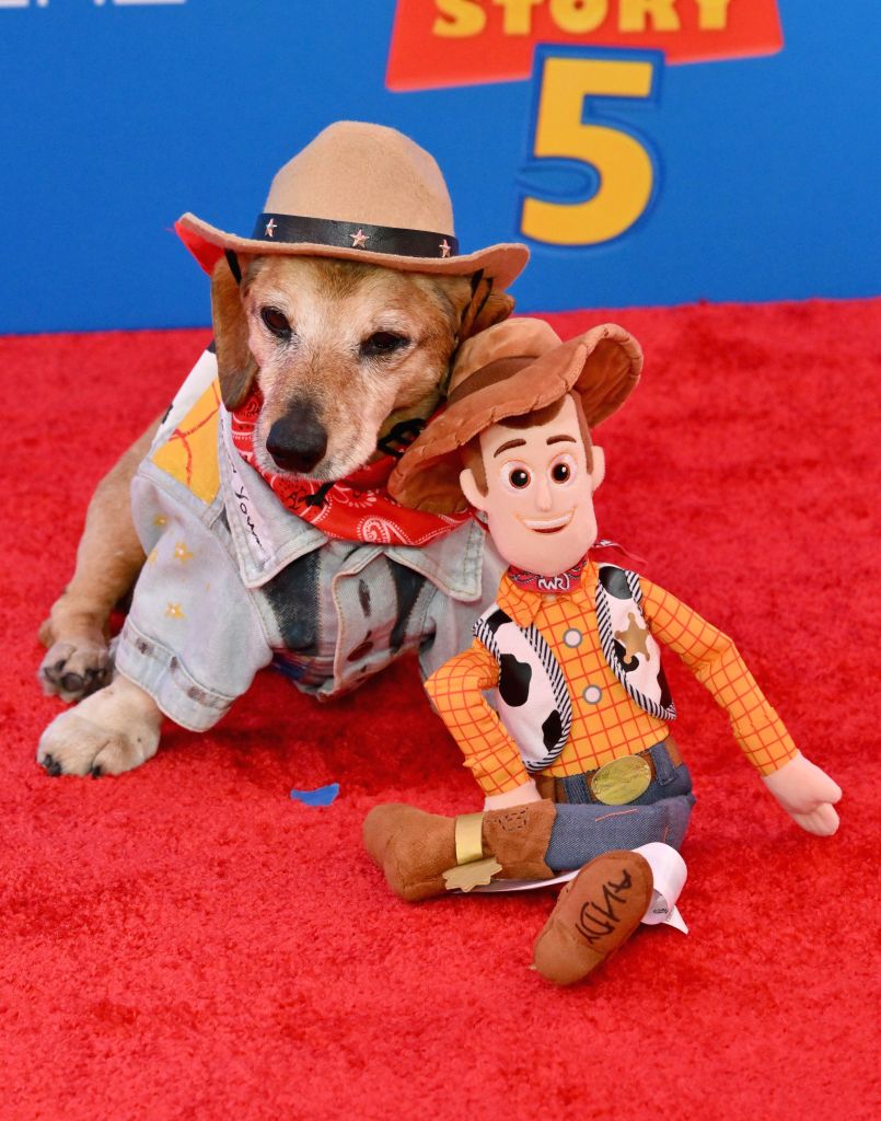 Lucas The Dog at the "Toy Story 5" premiere