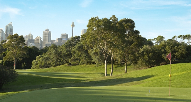Moore Park Golf: The Reality Behind the 12-Hole Plan