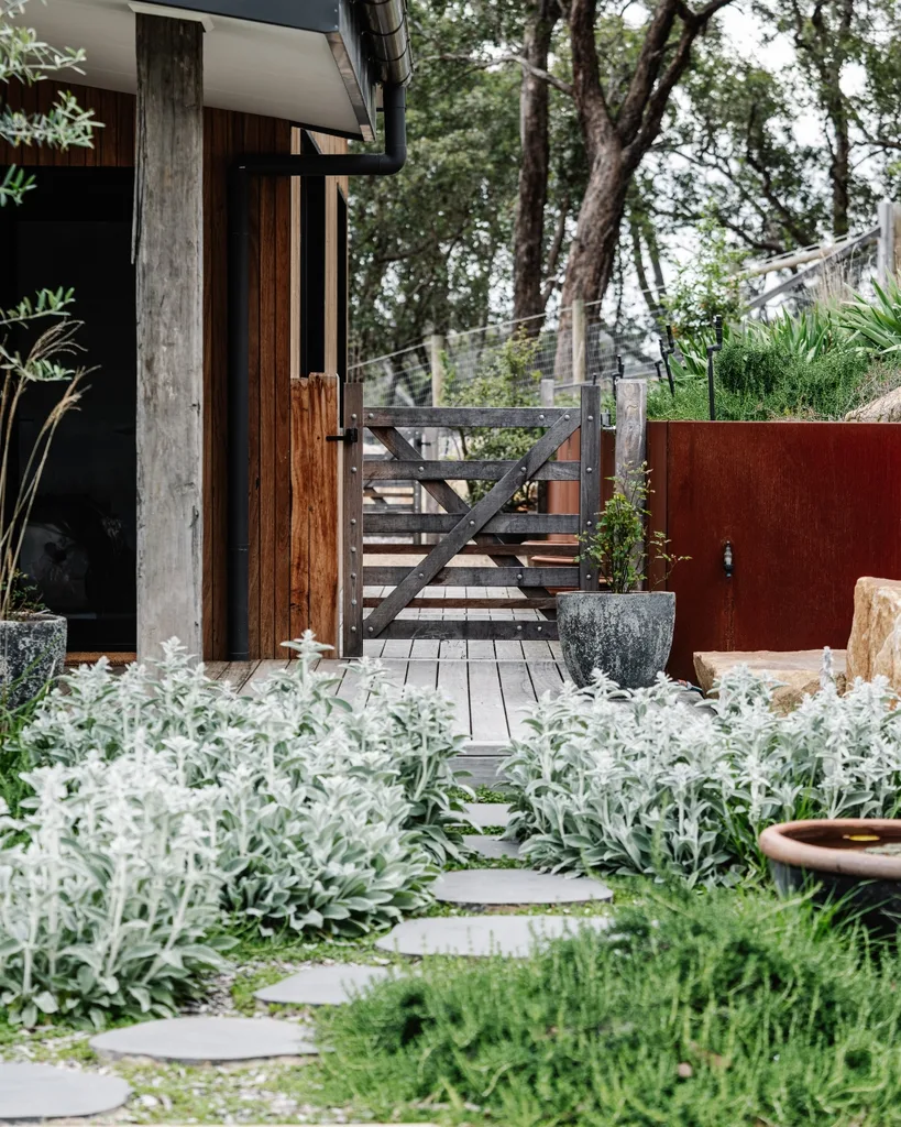 Native garden Kangaroo Ground Victoria country home
