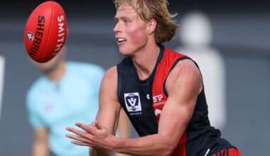 REVIEW: Smithy's VFL Round 12