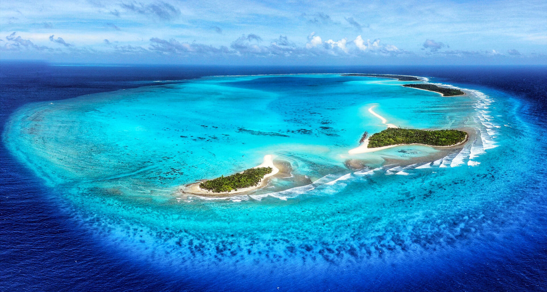 Seabirds drive rapid coral reef recovery after invasive rats are removed from islands