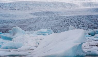 Study reveals hidden role of permafrost in ancient climate change