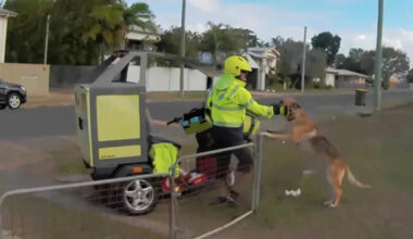 Australia Post worker praised by residents for heartwarming neighbourhood act: 'Top bloke'