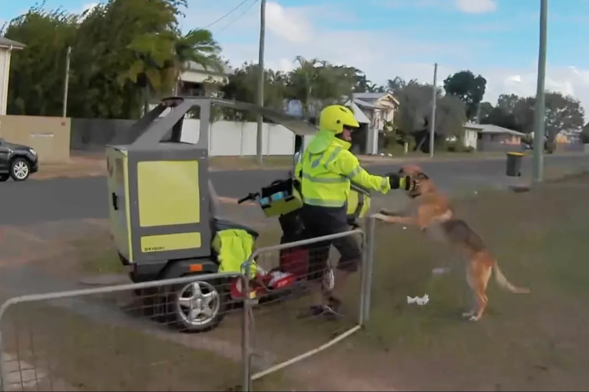 Australia Post worker praised by residents for heartwarming neighbourhood act: 'Top bloke'