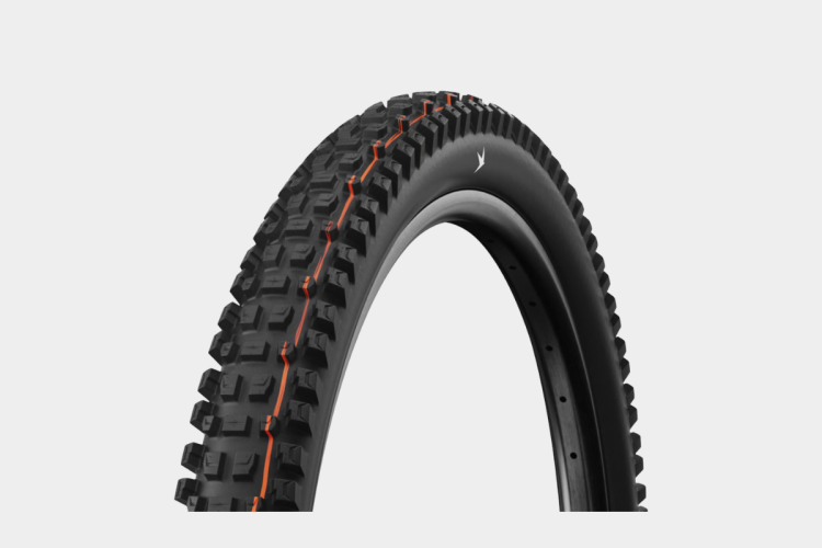 Schwalbe Albert Trail Pro Radial tire