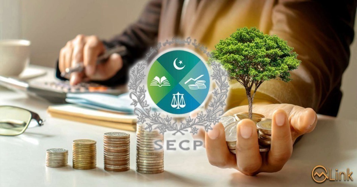 Chinese investors eye bigger role in Pakistan capital market