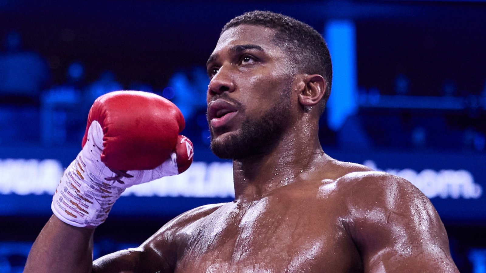 The Biggest Remaining Bouts of 2026 and What Boxing Odds Suggest