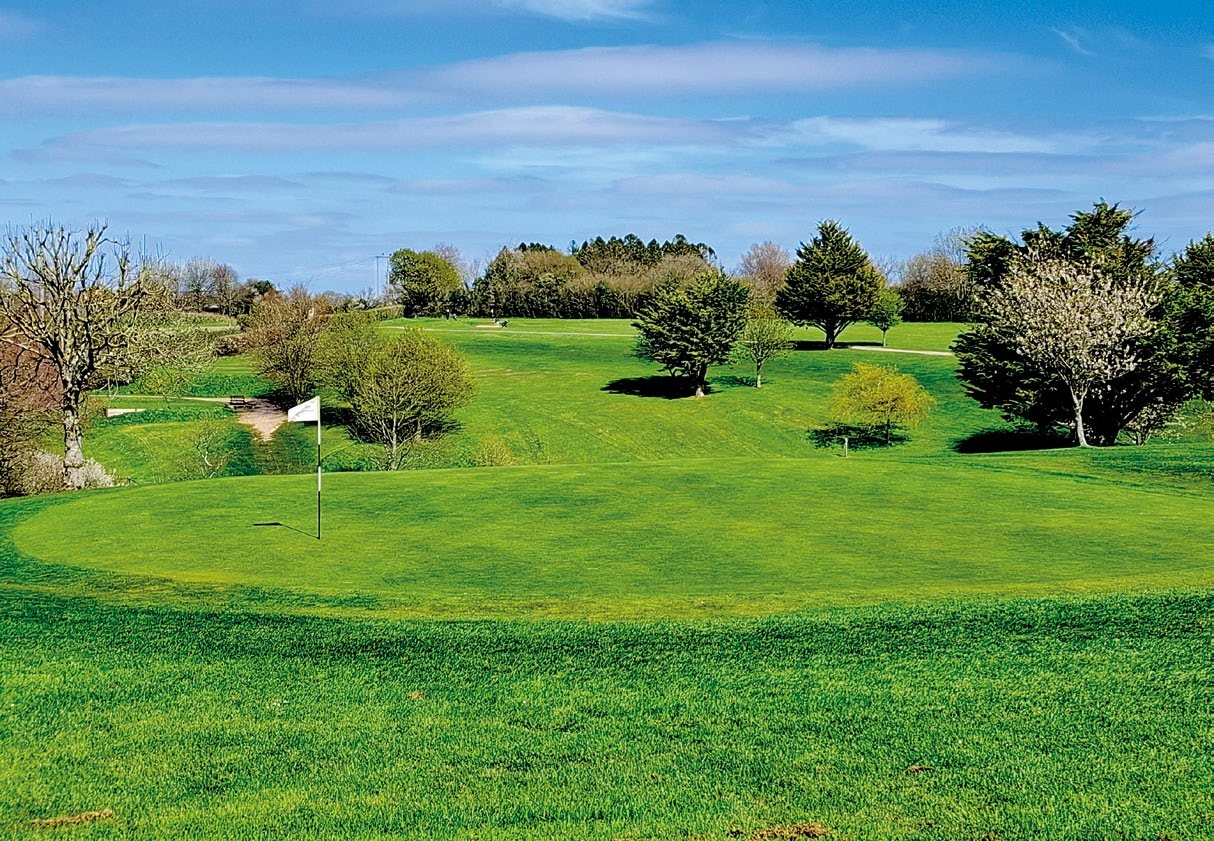 The 12th green at Cricket St Thomas
