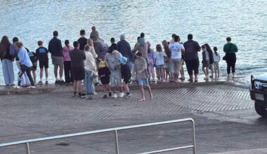Tourists in awe over 'incredible' sight off Aussie boat ramp