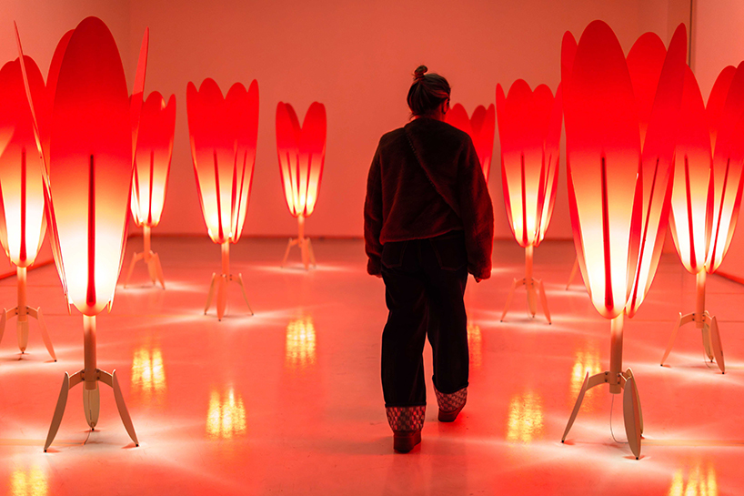 translucent red acrylic tulips form a glowing participatory light and sound installation - 1