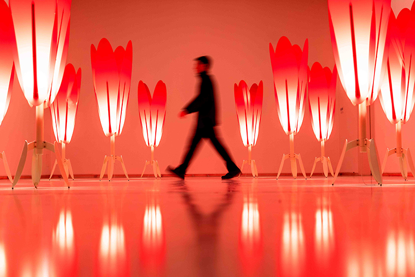 translucent red acrylic tulips form a glowing participatory light and sound installation - 3