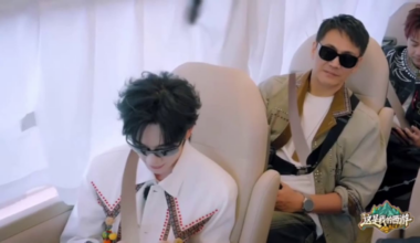 Photoshopped seat belts on hit Chinese variety show draw warning from traffic authorities