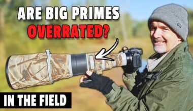 Why Wildlife Shooters Switch to Zooms