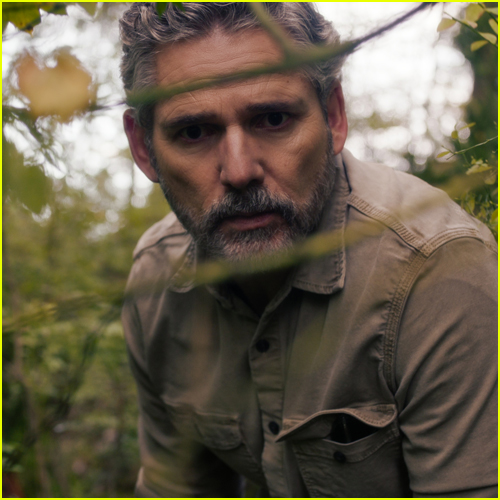 Untamed photo