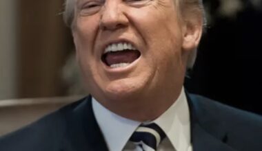 US AI export shock shows Australia cannot outsource its intelligence future