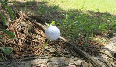 Rules of Golf Review: A tree is in ground under repair, but my ball is next to a root outside the marked area. Do I get relief?