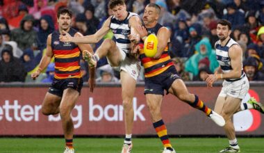 MATCH REVIEW: Crows veteran learns fate for push, Cat's bump explained