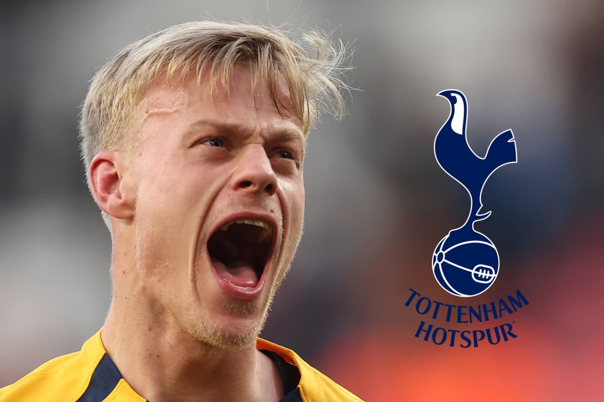 Brighton reject Tottenham's second bid for Van Hecke as rivals emerge - London Evening Standard
