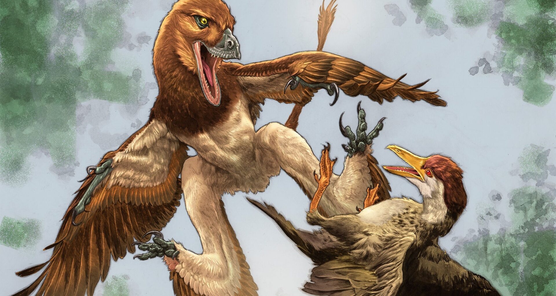Ancient Velociraptor cousin glided on four wings and hunted birds