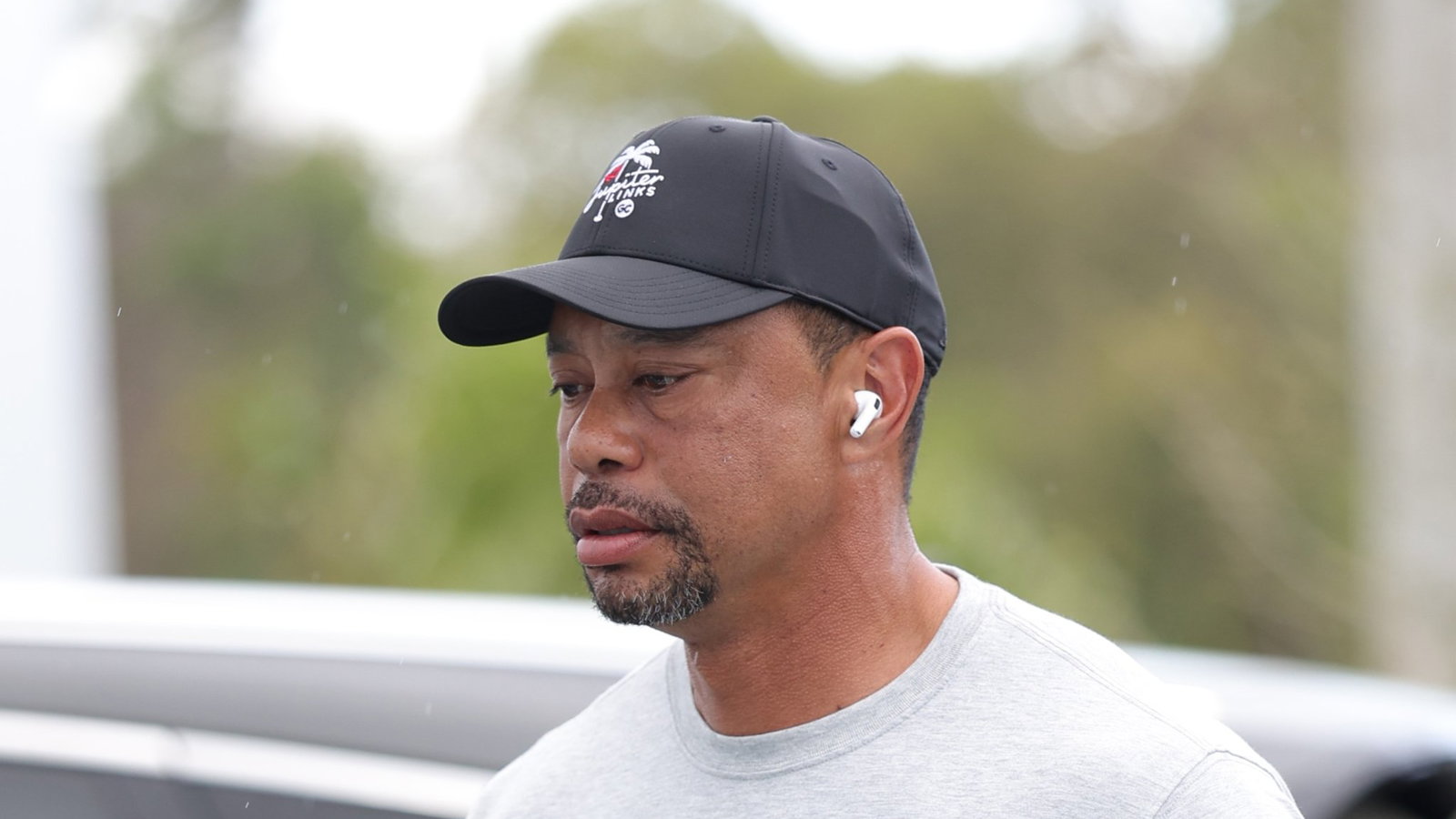 Tiger Woods