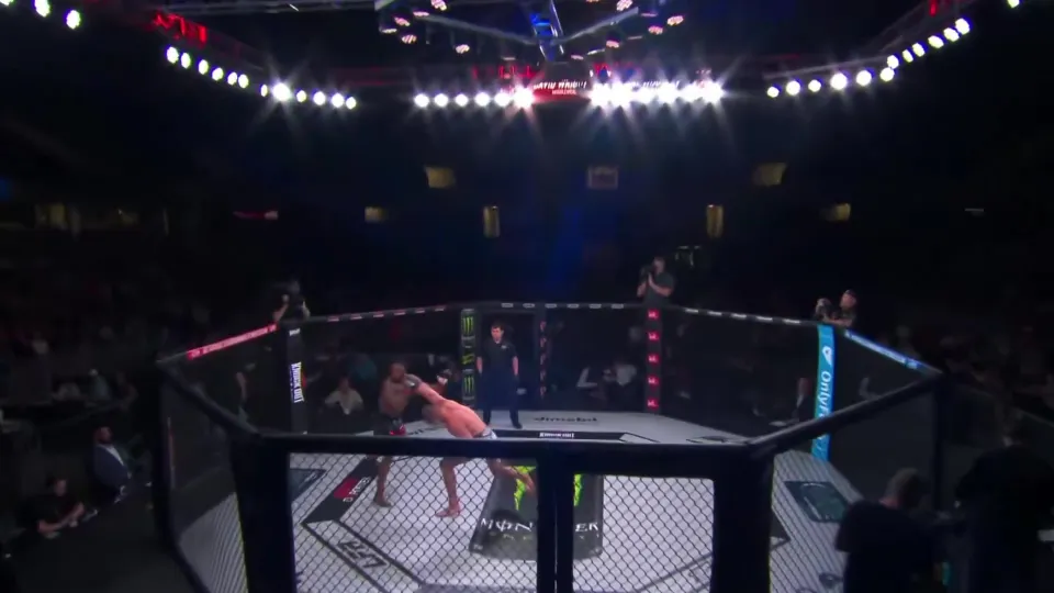 Woodley came flying across the cage to score a brutal one-punch KO