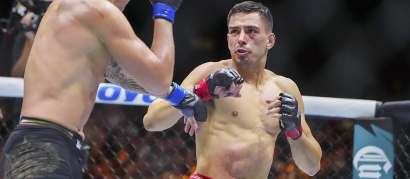 DraftKings UFC Picks & Value Plays: UFC Baku DFS Lineup Strategy