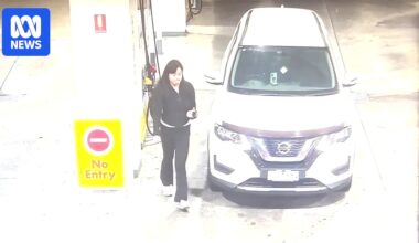 Search continues for missing Dandenong woman last seen walking towards Parkdale Beach