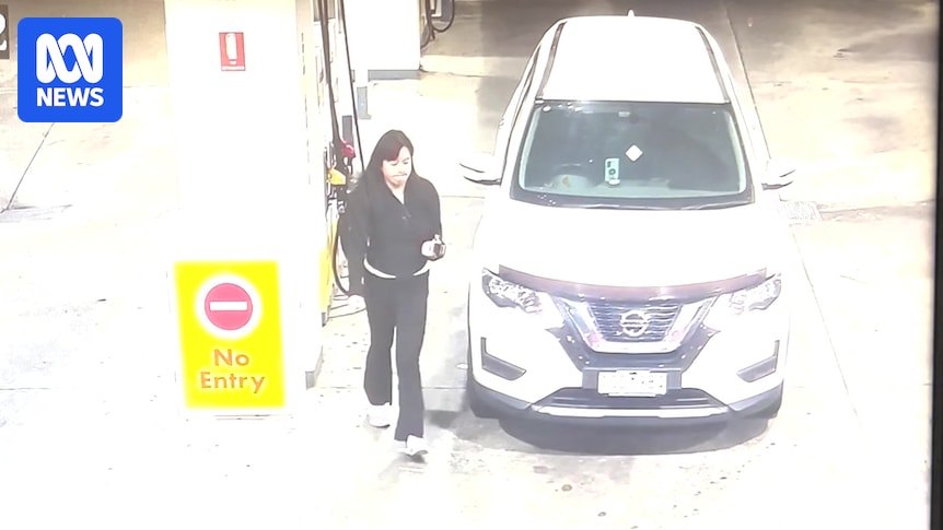 Search continues for missing Dandenong woman last seen walking towards Parkdale Beach