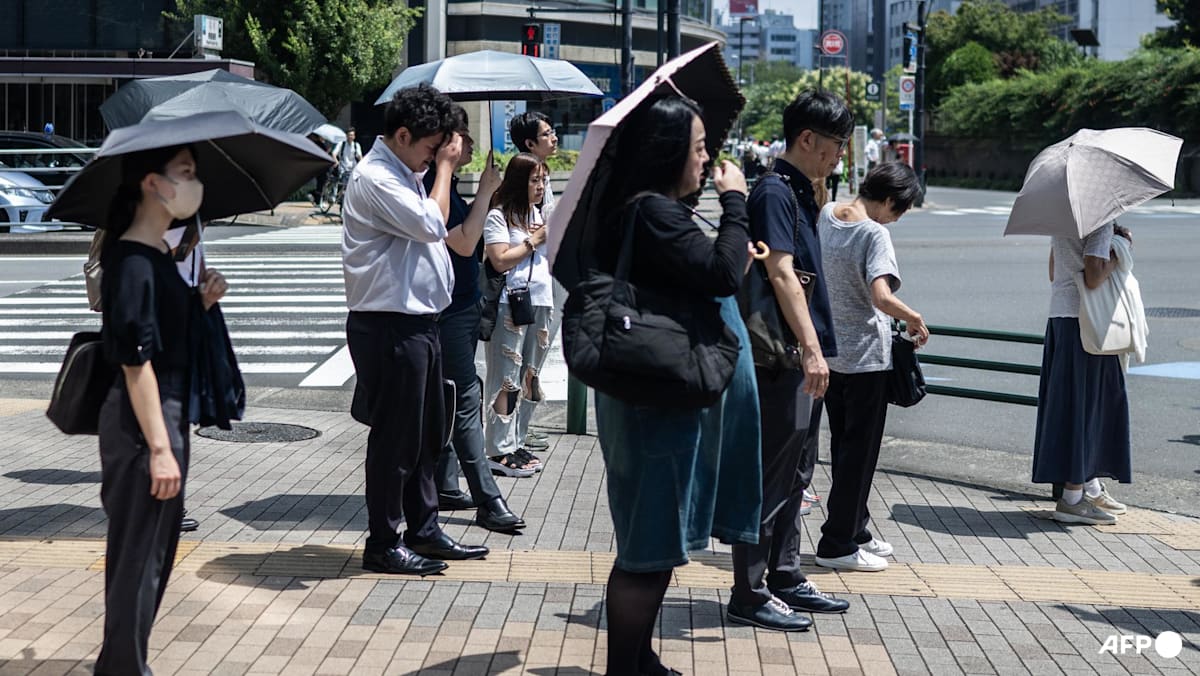 Hundreds hospitalised in Japan heatwave 'disaster'