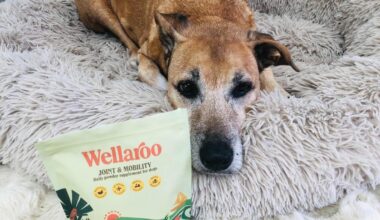 Why Aussie dog owners are ditching filler-heavy treats for single-ingredient, air-dried protein