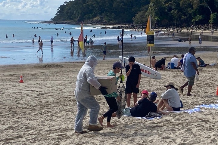 Man in hazmat suit at beach.