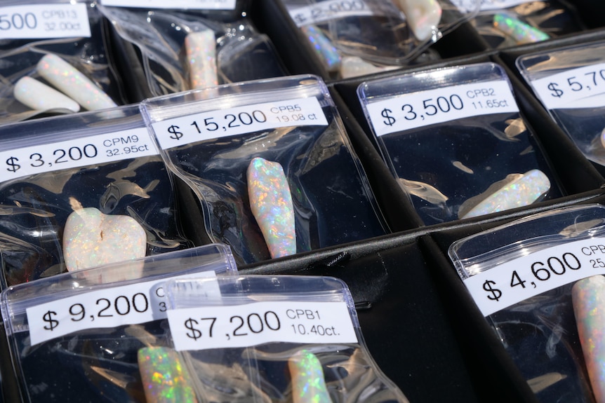 Clear sleeves holding opals, each with the price labelled.