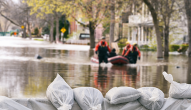 Australia can't sustain disaster cover on the private market, report finds