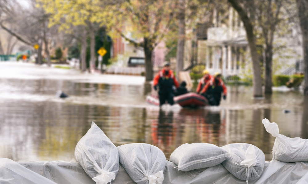 Australia can't sustain disaster cover on the private market, report finds