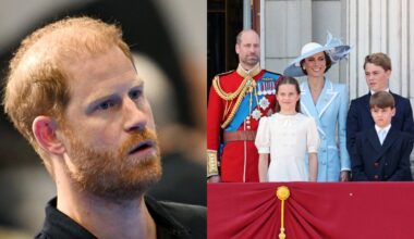 'His greatest asset': PR expert explains what Prince Harry must do to endear himself to his critics