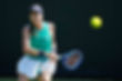 (Getty/Owen Hammond)