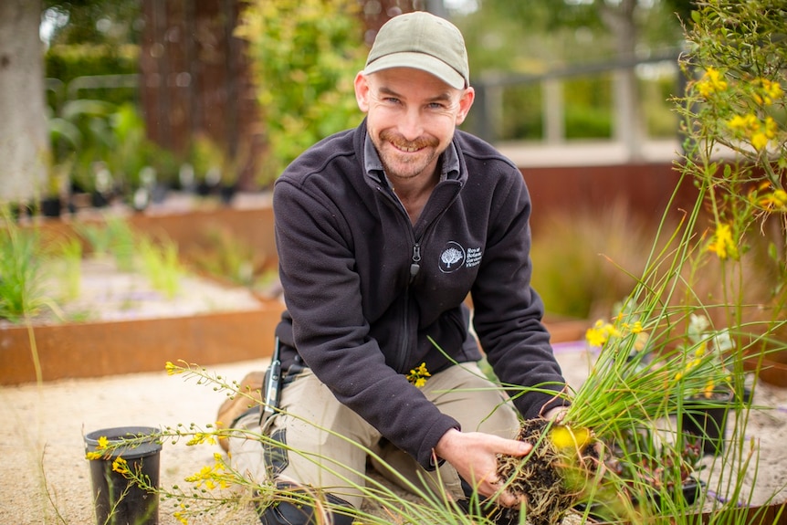 A smiling man kneels on the ground with a native plant in his hands, ready to plant in the ground.