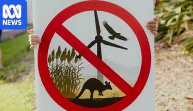 Whitsundays wind farm plan scaled down after community backlash