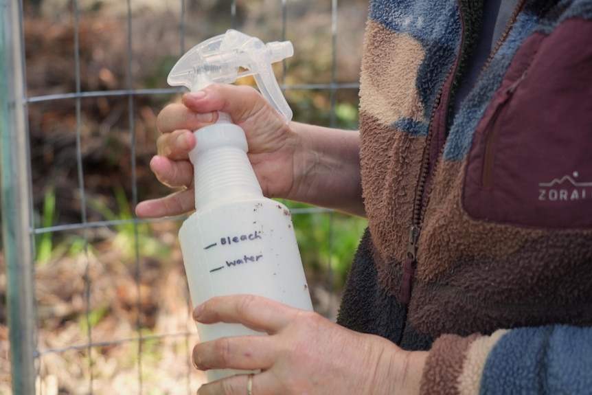 A hand holding white spray bottle with two marks drawn on it which read 'water' and 'bleach'