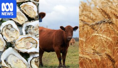 Platform connects city investors with farming across Australia via their smartphones