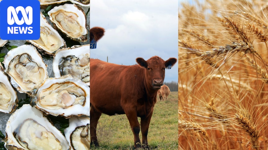Platform connects city investors with farming across Australia via their smartphones