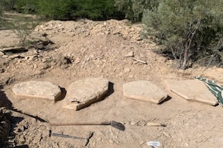 Three blocks of fossils in a dusty desert area.