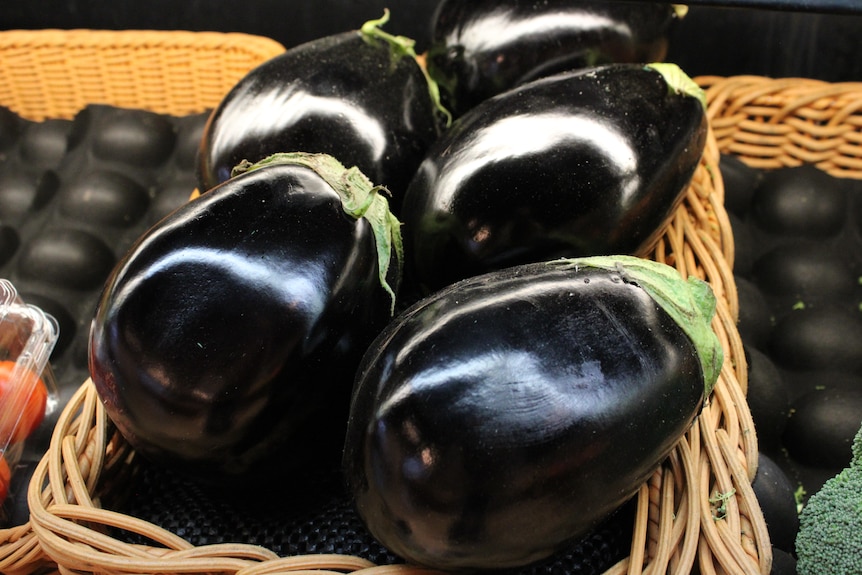 6 eggplant on a shelf in a fridge.