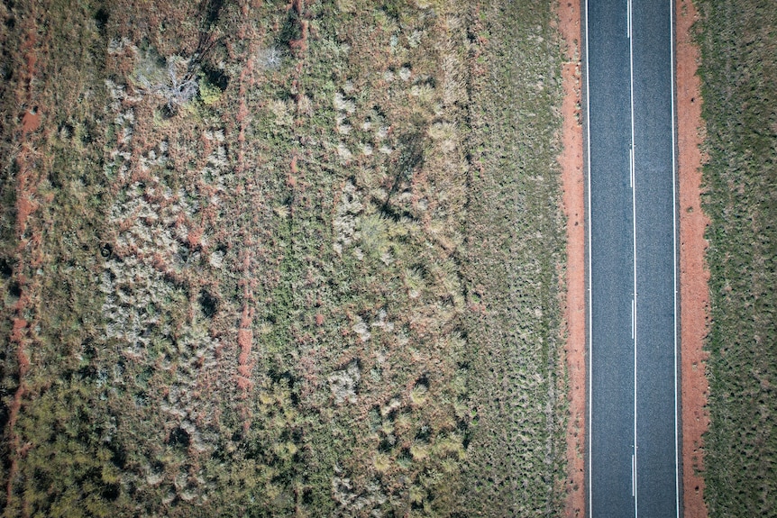 A birds eye view over a remote outback highway, with edges of the black bitumen tapering off into red dirt and green scrubland.