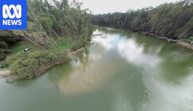 Barmah sand slug fix a complex headache due to competing demands